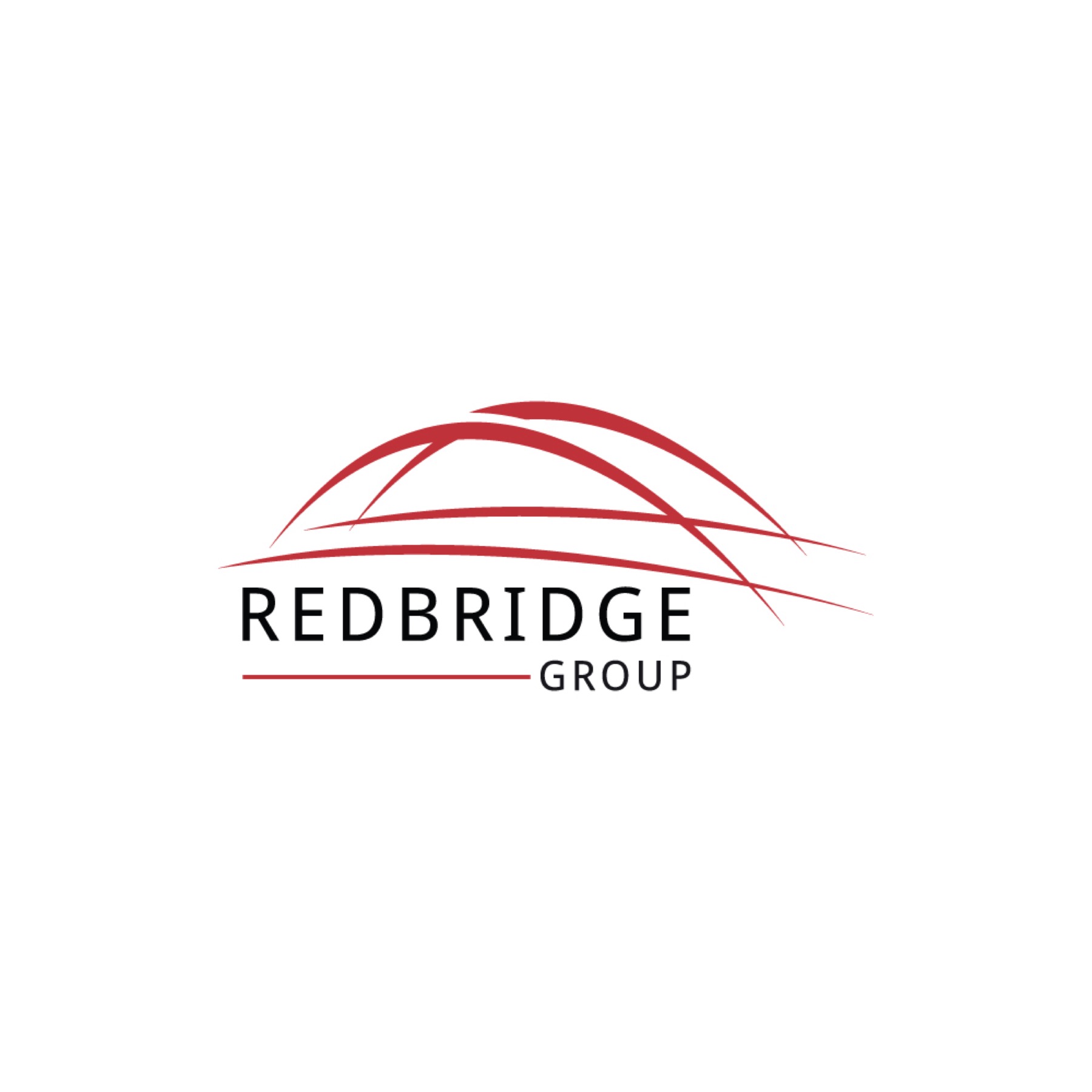 REDBRIDGE CO., LTD logo